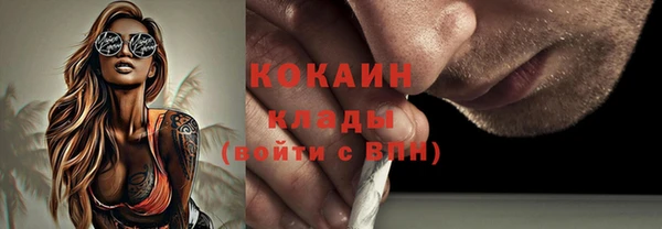 стаф Корсаков