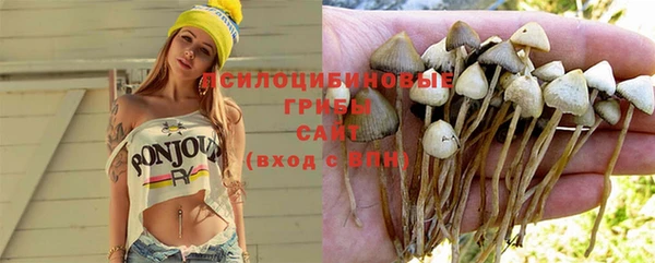 стаф Корсаков
