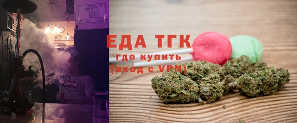 стаф Корсаков