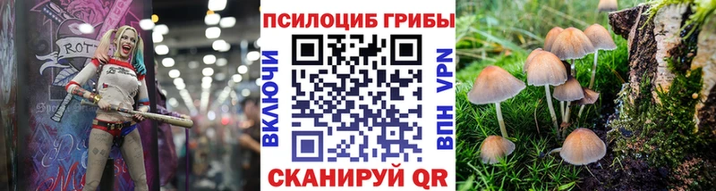 Галлюциногенные грибы Psilocybine cubensis  Купино 
